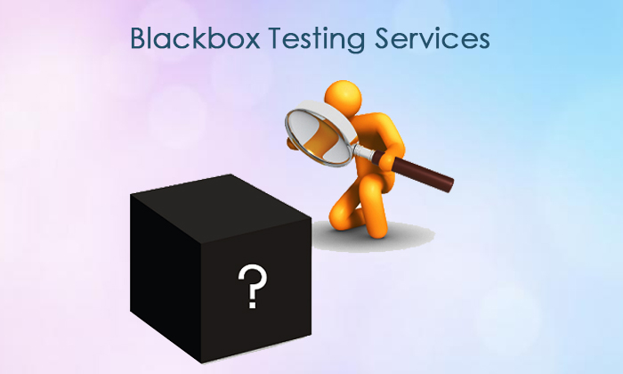 blackbox-testing